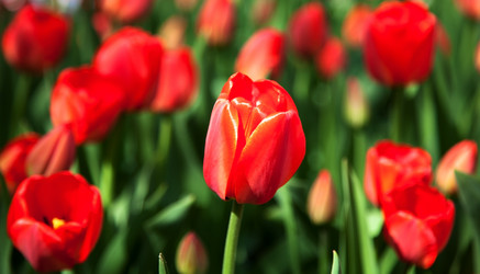 Similar image 6239341