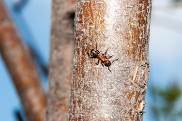 Similar image 6239375