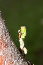 Similar image 6239384