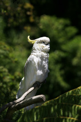 Similar image 6239402