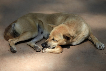 Similar image 6239408