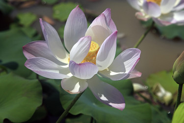 Similar image 6239409