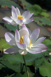 Similar image 6239413