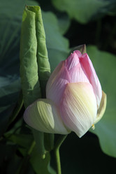 Similar image 6239415