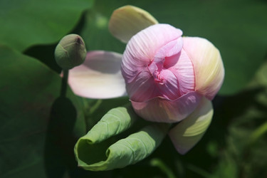 Similar image 6239420