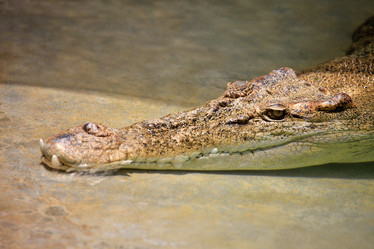 Similar image 6239424