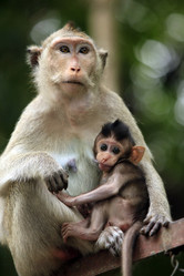 Similar image 6239425