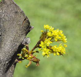 Similar image 6239443