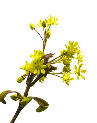 Similar image 6239444