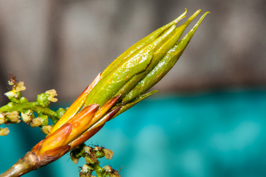 Similar image 6239532