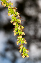 Similar image 6239533