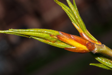 Similar image 6239534