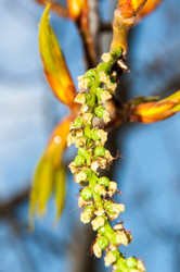 Similar image 6239551