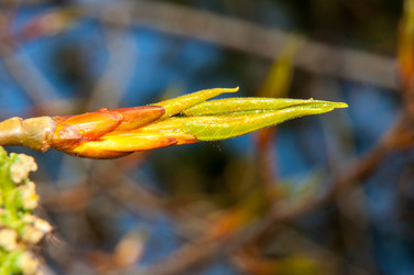 Similar image 6239552