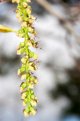 Similar image 6239553