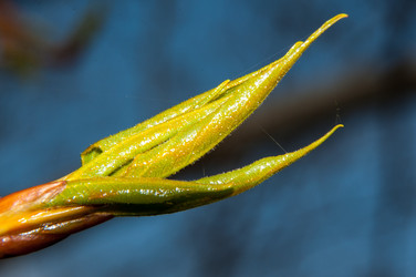 Similar image 6239554