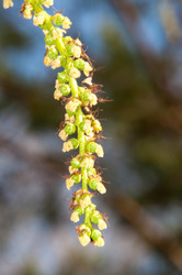 Similar image 6239555