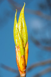 Similar image 6239556