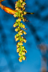 Similar image 6239558