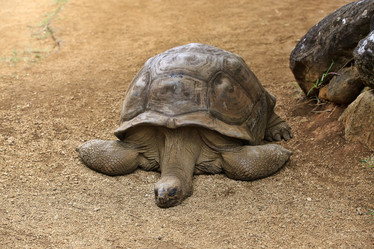 Similar image 6239591