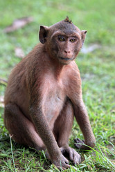 Similar image 6239592