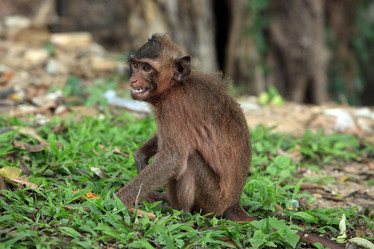 Similar image 6239593