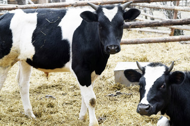 Similar image 6239602