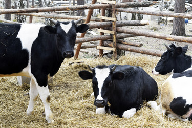 Similar image 6239603