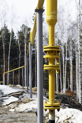 Similar image 6239616