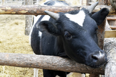 Similar image 6239622