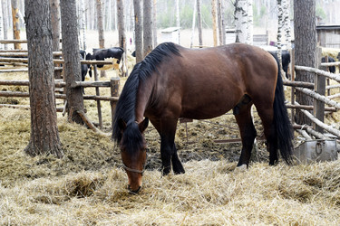 Similar image 6239623