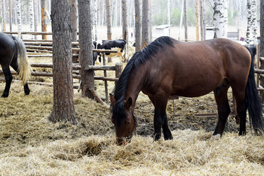 Similar image 6239625