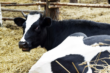 Similar image 6239626