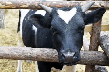 Similar image 6239630