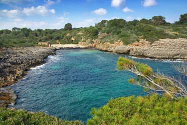 Similar image 6239712