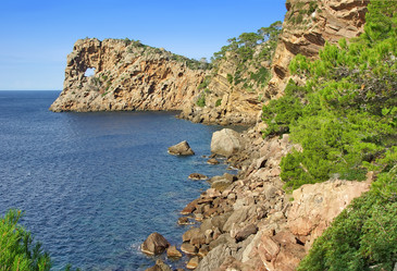 Similar image 6239741