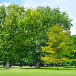 Similar image 6239749