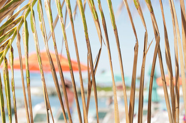 Similar image 6239968