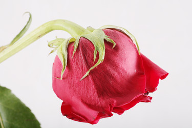 Similar image 6240126