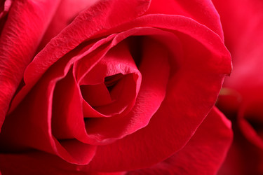 Similar image 6240134