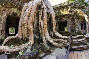 Similar image 6240417