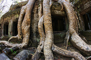 Similar image 6240418