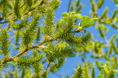 Similar image 6240605