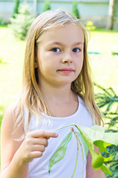 Similar image 6240637