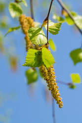 Similar image 6240684