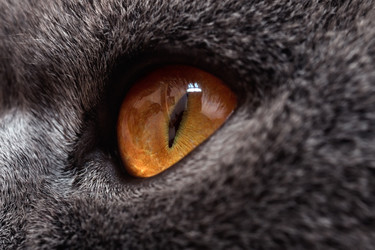 Similar image 6240773