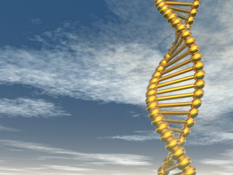 Similar image 6240879