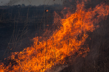 Similar image 6241811