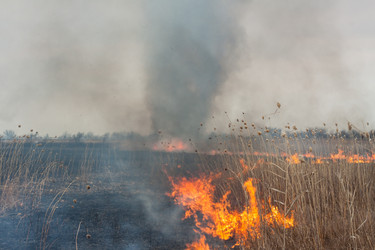 Similar image 6241814