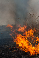 Similar image 6241815